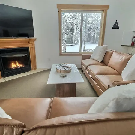 Large Modern Driggs Home With Game Room And Jacuzzi!